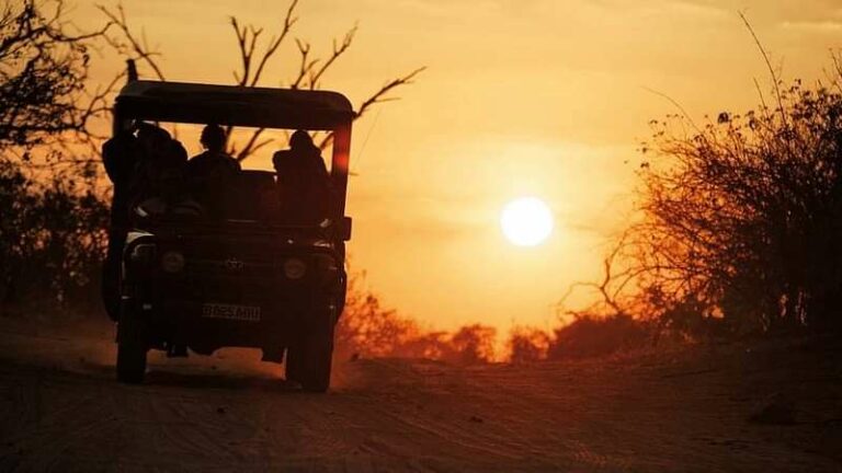 2 Day Camping Adventure Pilanesberg